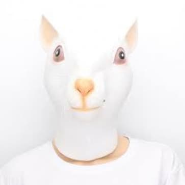 Rat Mask Costume
