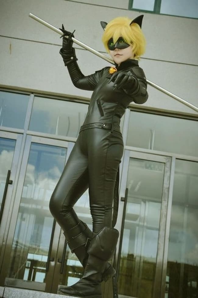 Miraculous Ladybug Cat Noir Complete Cosplay Costume For Adults.
