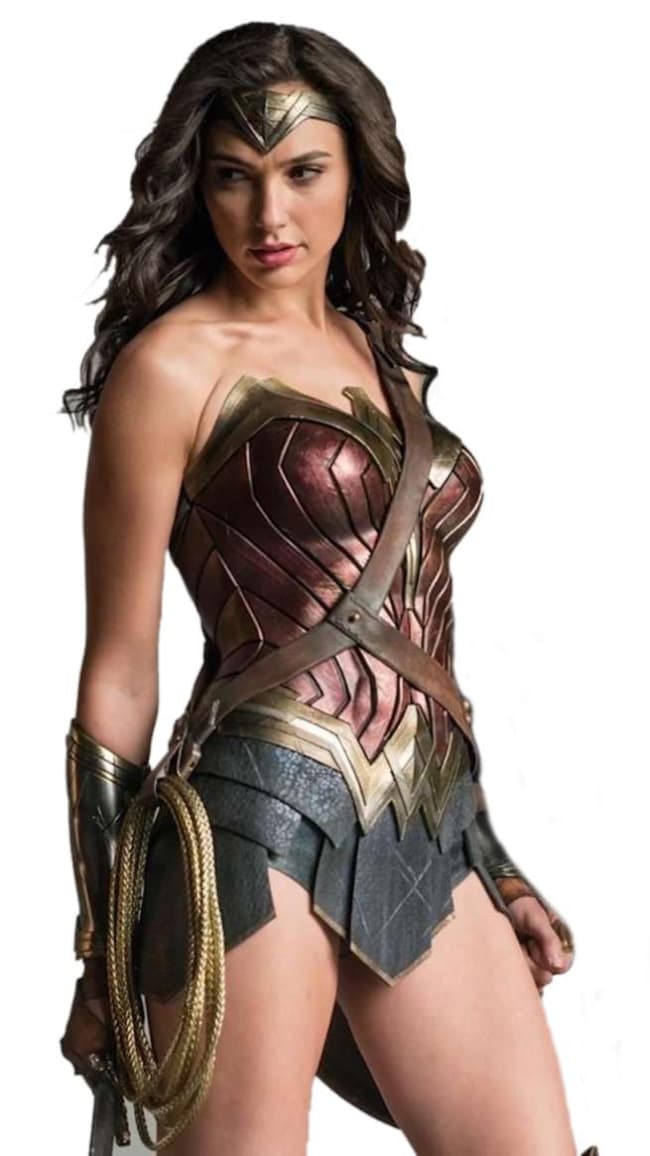 Deluxe Wonder Woman Complete Cosplay Costume Costume