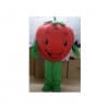 Giant Strawberry Mascot Costume