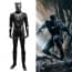 Black Panther Complete Cosplay Costume