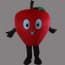 Giant Apple Mascot Costume