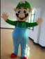 Giant Luigi Mascot Costume